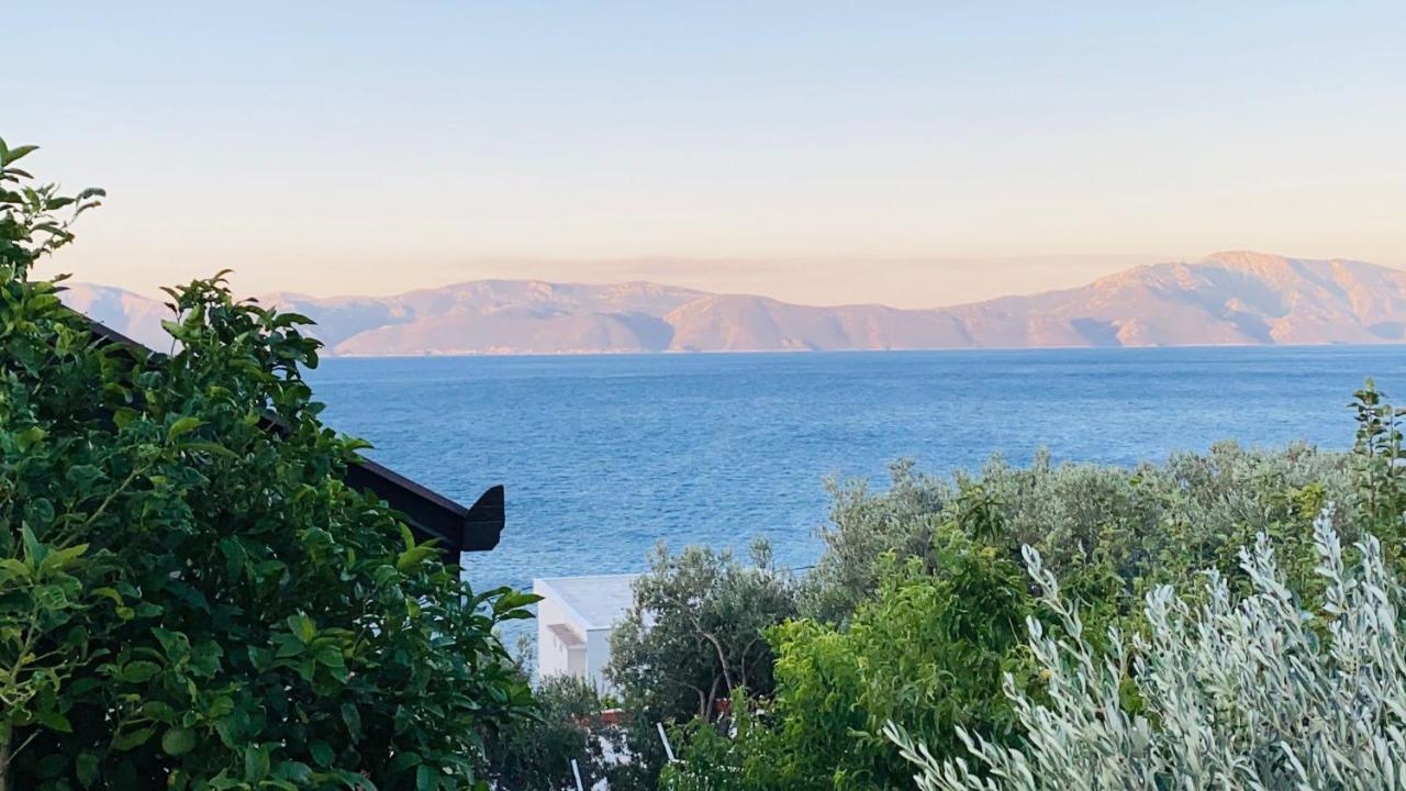 Tole Villa Podaca Dış mekan fotoğraf